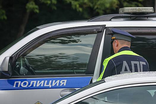 Россиянин на ночной дороге раскидал оформлявших ДТП гаишников